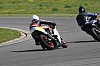 Zitoune-MC2012_24.jpg Zitoune-MC2012_24.jpg