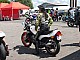 Lurcy2008-Bruno_108.jpg Lurcy2008-Bruno_108.jpg