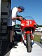 Lurcy2008-Bruno_17.jpg Lurcy2008-Bruno_17.jpg