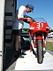 Lurcy2008-Bruno_18.jpg Lurcy2008-Bruno_18.jpg