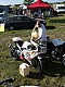 Lurcy2008-Bruno_23.jpg Lurcy2008-Bruno_23.jpg