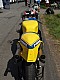 Lurcy2008-Bruno_45.jpg Lurcy2008-Bruno_45.jpg